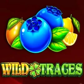 Wild Traces online game logo by Amusnet Interactive on uspin.eu.com